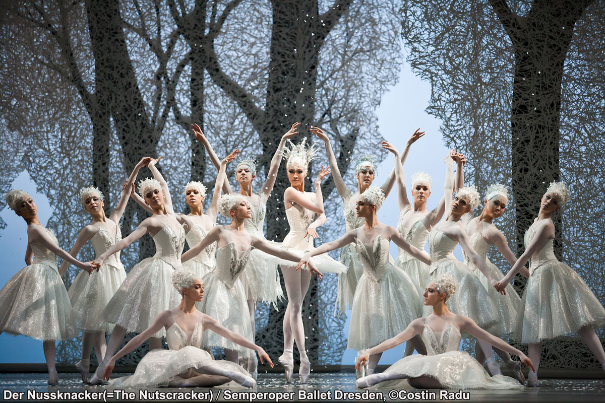 ゼンパーオーパー　オペラチケット